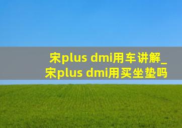 宋plus dmi用车讲解_宋plus dmi用买坐垫吗